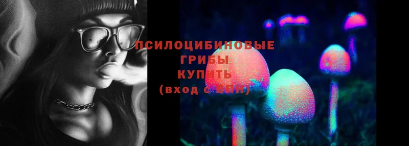 Псилоцибиновые грибы Cubensis  закладка  мега зеркало  Гороховец 